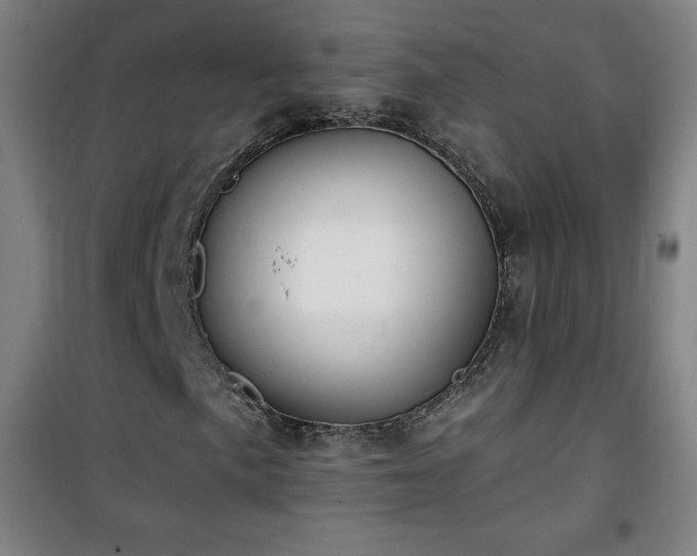 X0000101651057200807101226