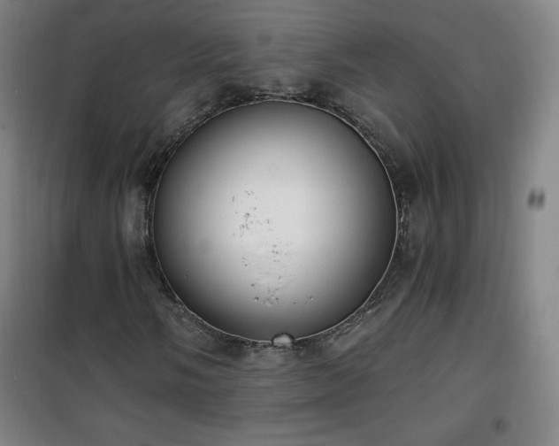 X0000101651058200807101226