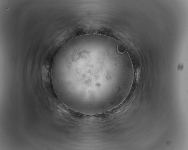 X0000101651059200807101226