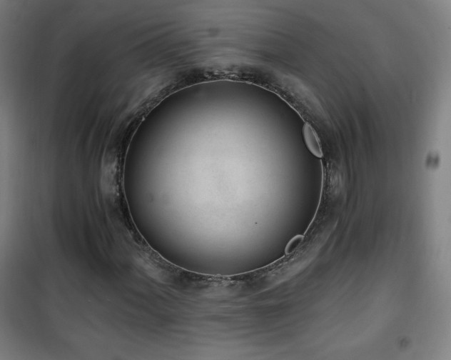 X0000101651060200807101226