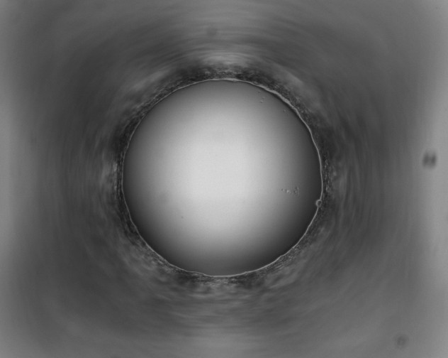 X0000101651061200807101226