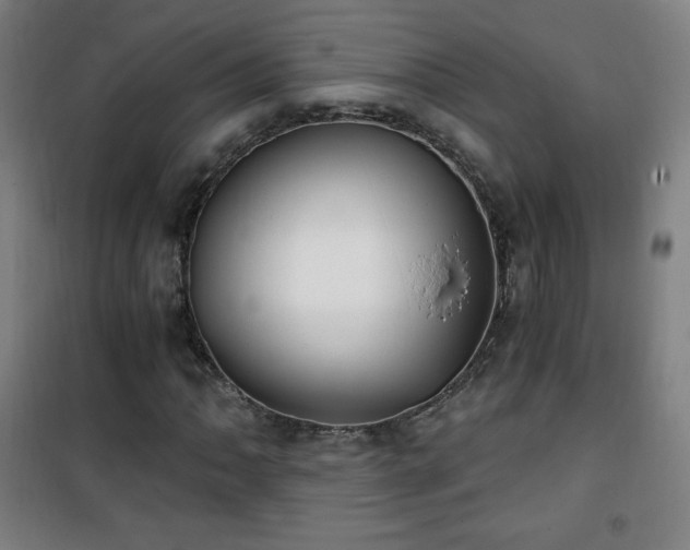 X0000101651062200807101226