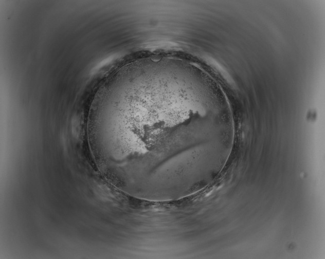 X0000101651063200807101226