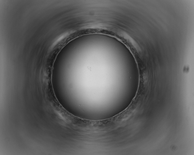 X0000101651064200807101226