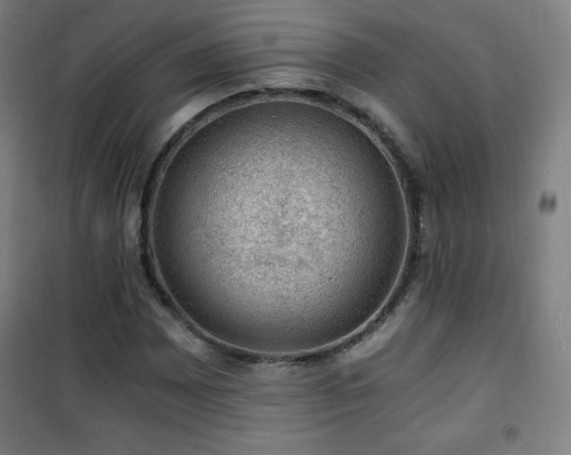 X0000101651065200807101226