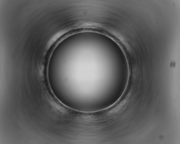 X0000101651066200807101226