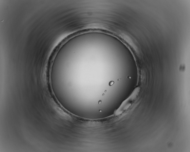 X0000101651068200807101226