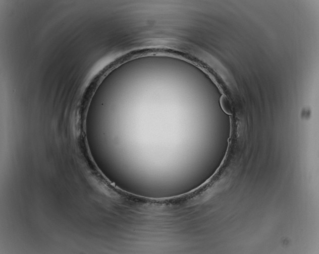 X0000101651069200807101226
