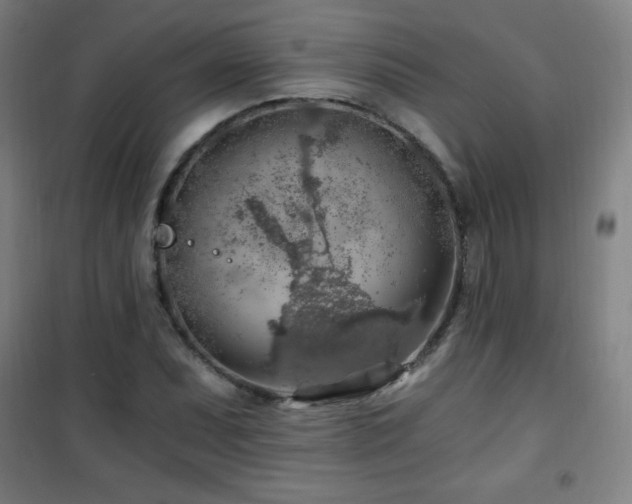 X0000101651071200807101226