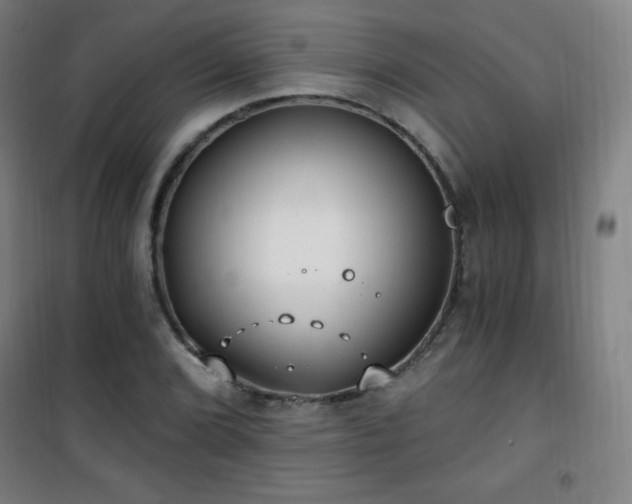 X0000101651072200807101226