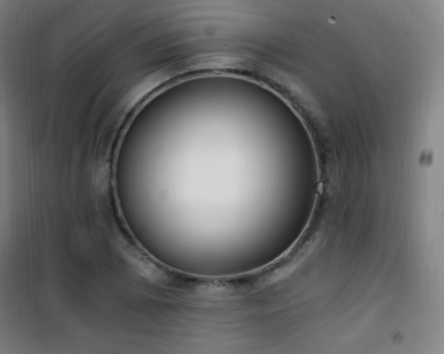 X0000101651073200807101226