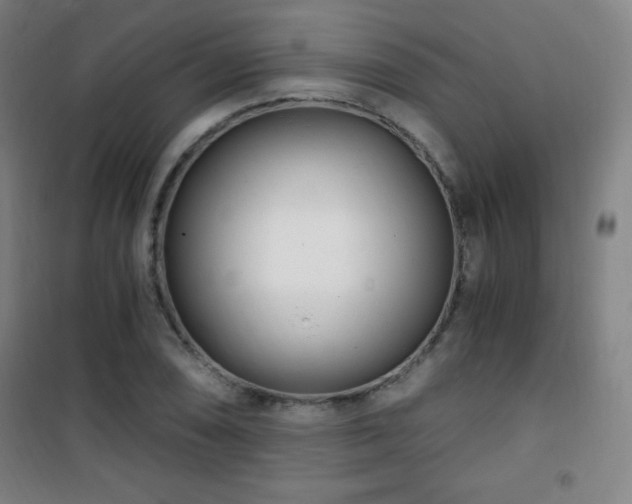X0000101651074200807101226