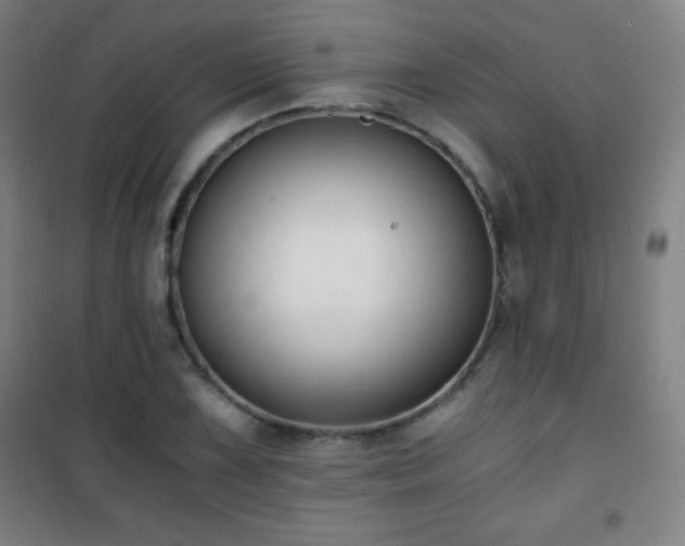 X0000101651075200807101226