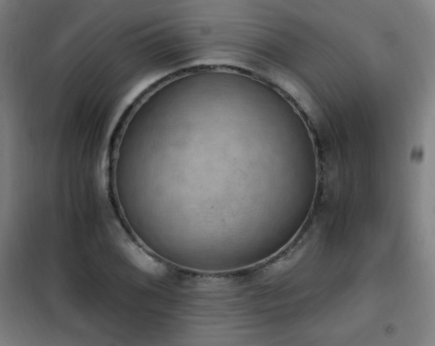 X0000101651076200807101226