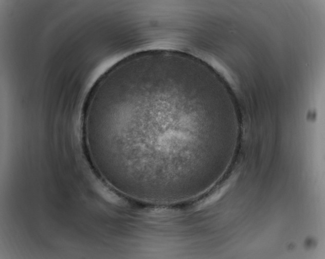 X0000101651077200807101226