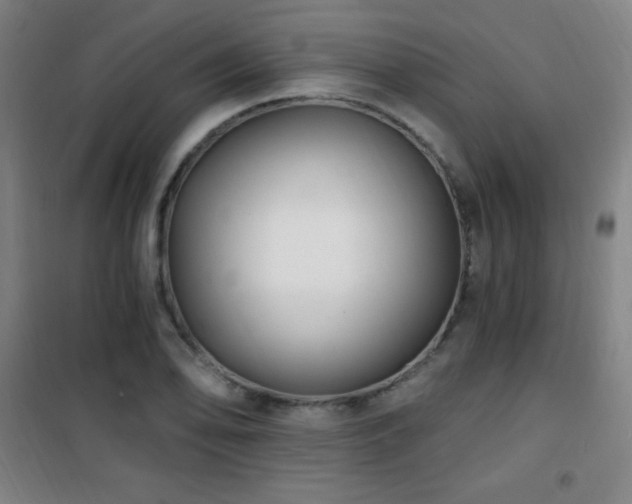 X0000101651078200807101226