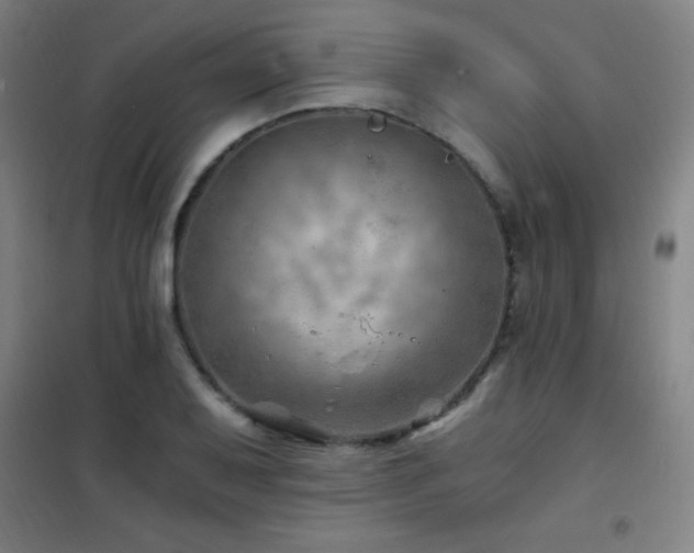 X0000101651079200807101226