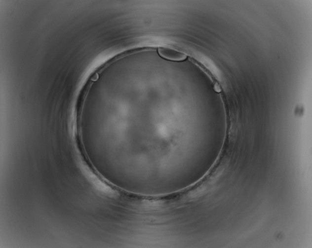 X0000101651080200807101226
