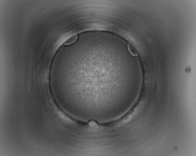 X0000101651081200807101226