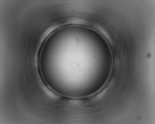 X0000101651082200807101226