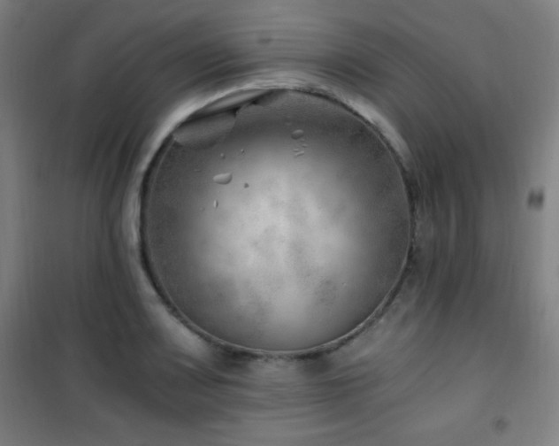 X0000101651083200807101226