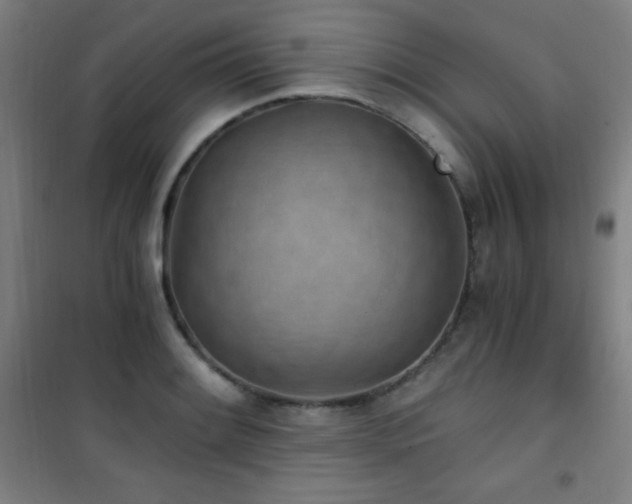 X0000101651084200807101226