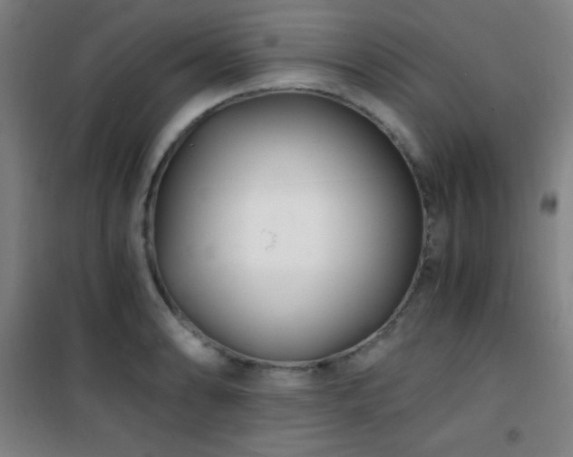 X0000101651086200807101226