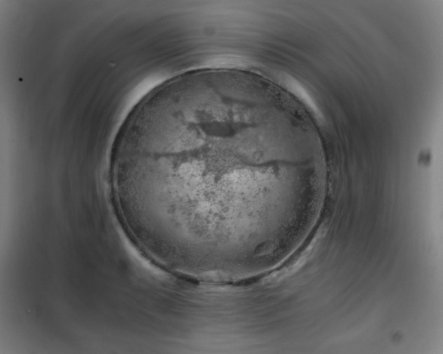 X0000101651087200807101226