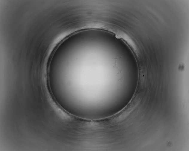 X0000101651088200807101225