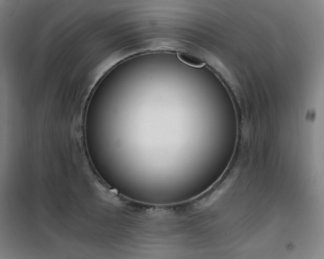 X0000101651089200807101225