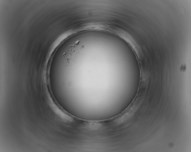 X0000101651090200807101225