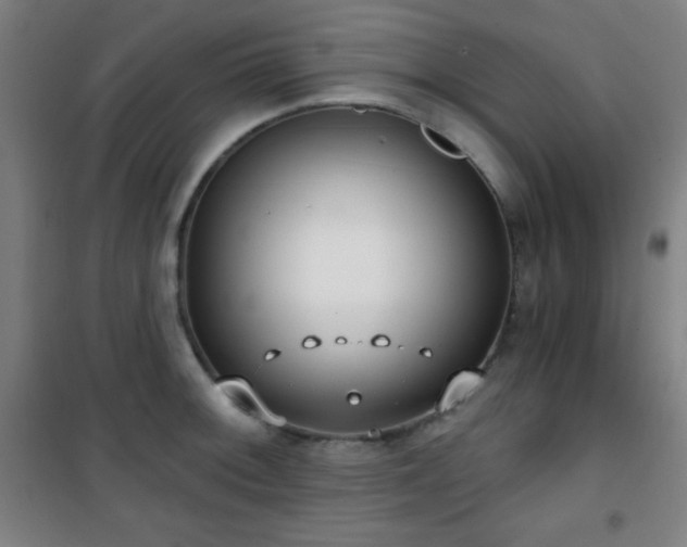 X0000101651092200807101225