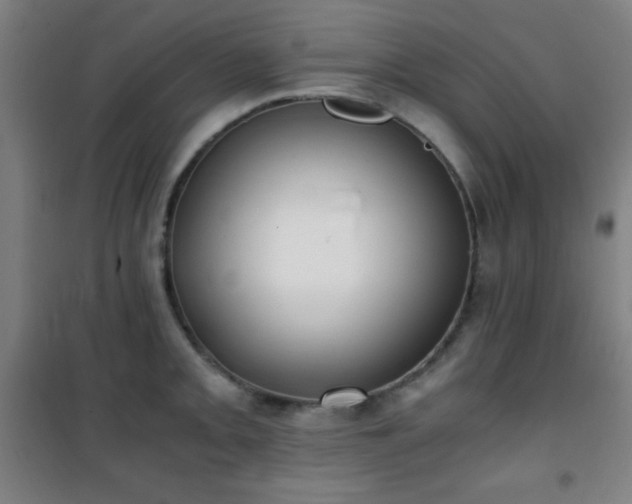 X0000101651093200807101225