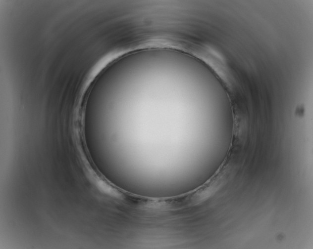 X0000101651094200807101225