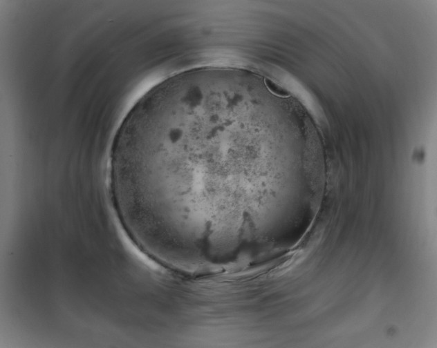 X0000101651095200807101225