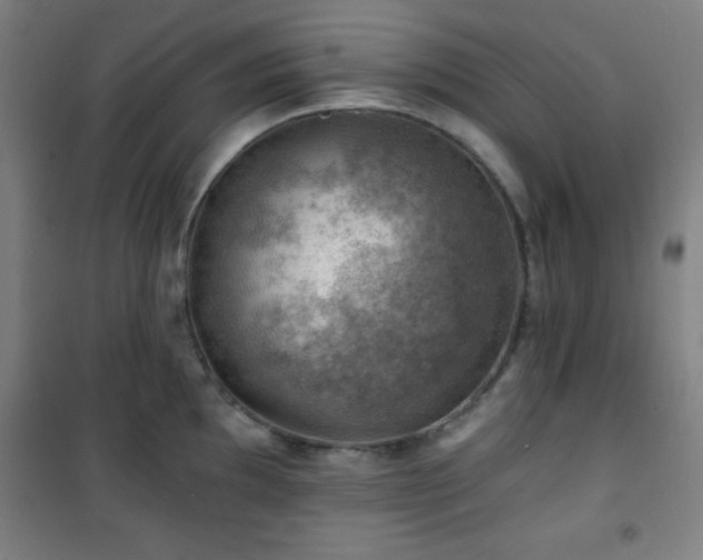 X0000101651097200807101225