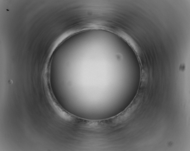 X0000101651098200807101225