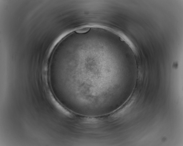 X0000101651100200807101225
