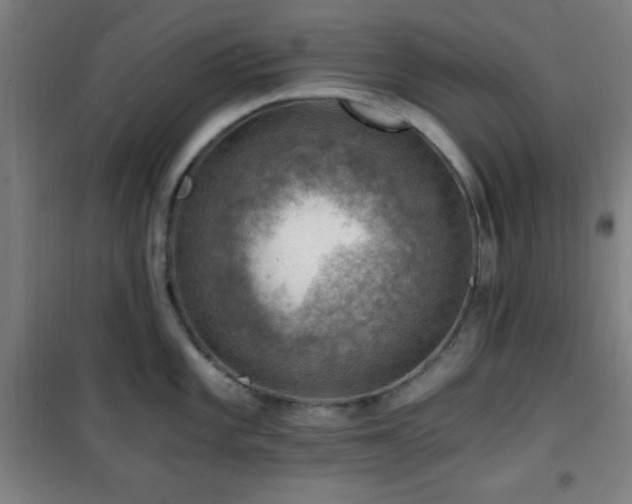 X0000101651101200807101225