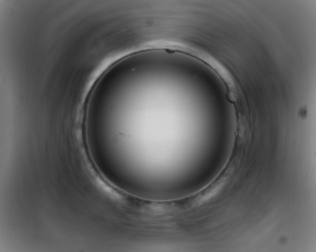 X0000101651102200807101225