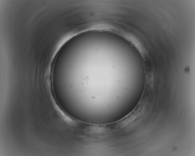 X0000101651103200807101225