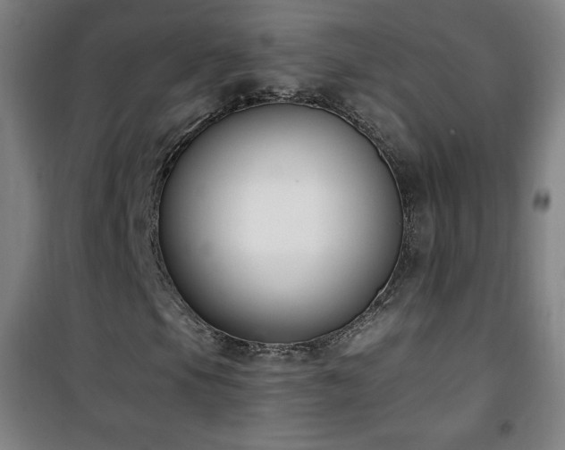 X0000101651105200807101225