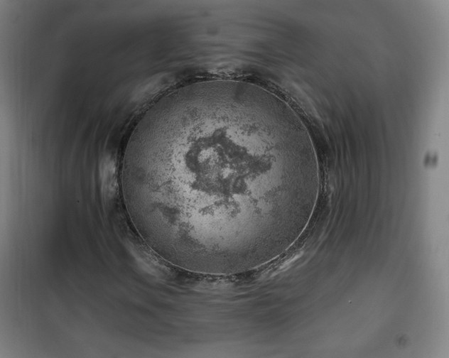 X0000101651106200807101225