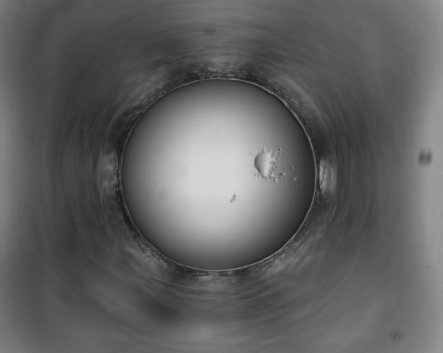 X0000101651107200807101225