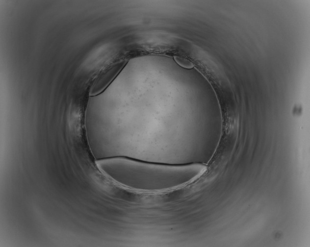 X0000101651108200807101225