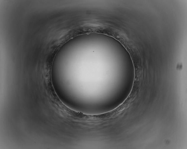 X0000101651109200807101225