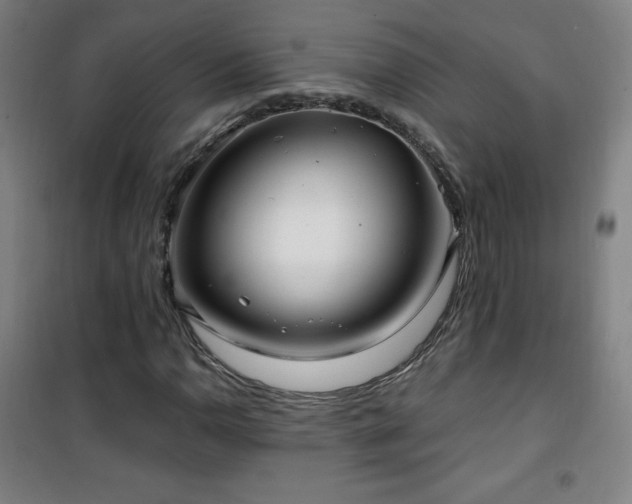 X0000101651110200807101225