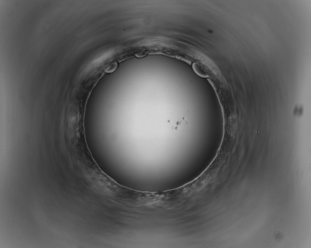 X0000101651111200807101225