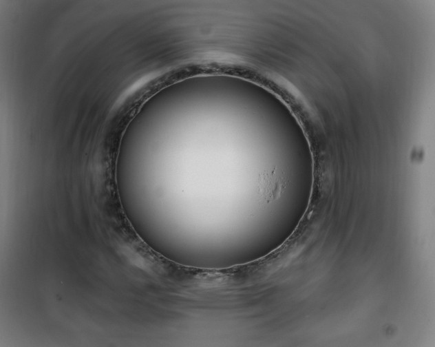 X0000101651112200807101225