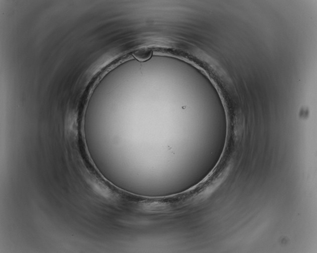 X0000101651113200807101225